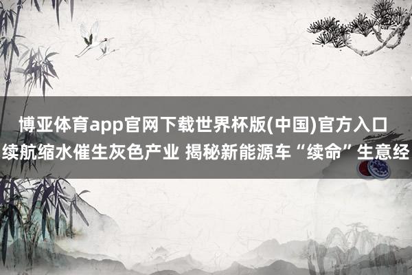 博亚体育app官网下载世界杯版(中国)官方入口 续航缩水催生灰色产业 揭秘新能源车“续命”生意经
