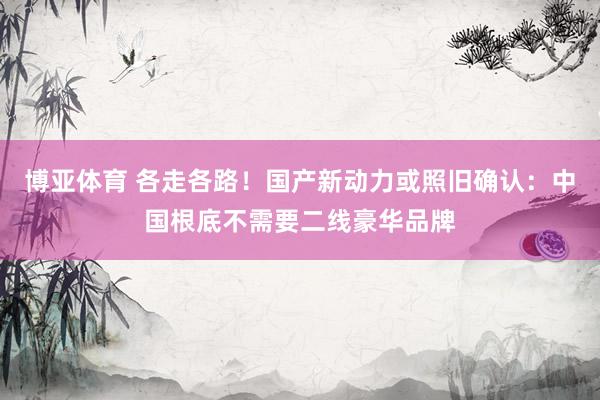 博亚体育 各走各路！国产新动力或照旧确认：中国根底不需要二线豪华品牌