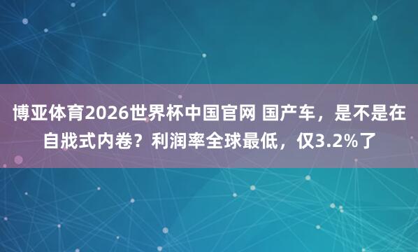 博亚体育2026世界杯中国官网 国产车，是不是在自戕式内卷？利润率全球最低，仅3.2%了