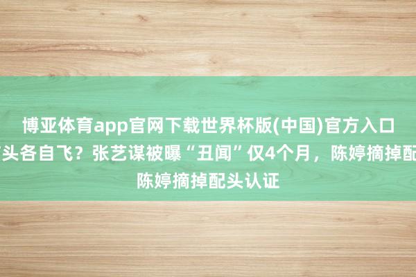 博亚体育app官网下载世界杯版(中国)官方入口 浩劫临头各自飞？张艺谋被曝“丑闻”仅4个月，陈婷摘掉配头认证