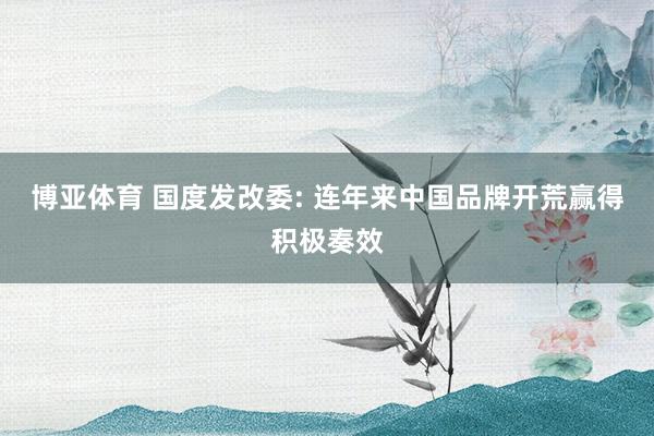 博亚体育 国度发改委: 连年来中国品牌开荒赢得积极奏效
