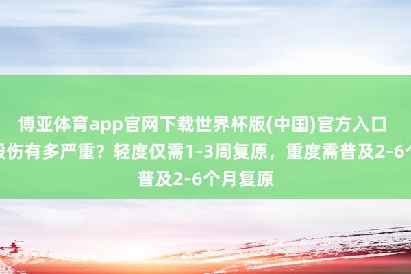 博亚体育app官网下载世界杯版(中国)官方入口 半腱肌毁伤有多严重？轻度仅需1-3周复原，重度需普及2-6个月复原