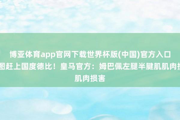 博亚体育app官网下载世界杯版(中国)官方入口 力图赶上国度德比！皇马官方：姆巴佩左腿半腱肌肌肉损害