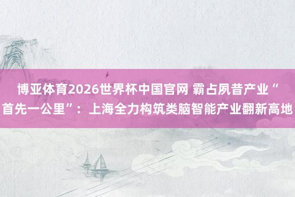 博亚体育2026世界杯中国官网 霸占夙昔产业“首先一公里”：上海全力构筑类脑智能产业翻新高地
