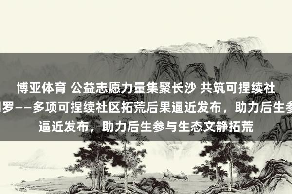 博亚体育 公益志愿力量集聚长沙 共筑可捏续社区“蓝一又友”网罗——多项可捏续社区拓荒后果逼近发布，助力后生参与生态文静拓荒