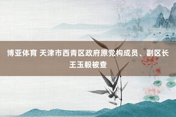 博亚体育 天津市西青区政府原党构成员、副区长王玉毅被查