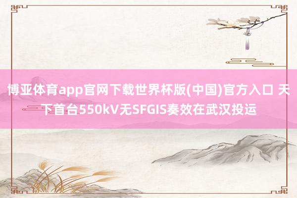 博亚体育app官网下载世界杯版(中国)官方入口 天下首台550kV无SFGIS奏效在武汉投运