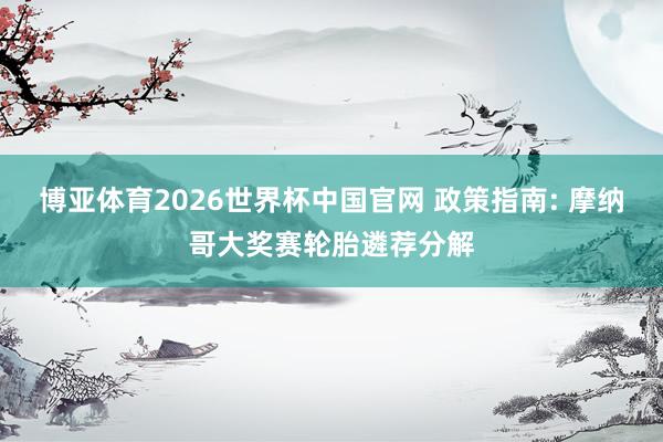 博亚体育2026世界杯中国官网 政策指南: 摩纳哥大奖赛轮胎遴荐分解