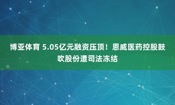 博亚体育 5.05亿元融资压顶！恩威医药控股鼓吹股份遭司法冻结