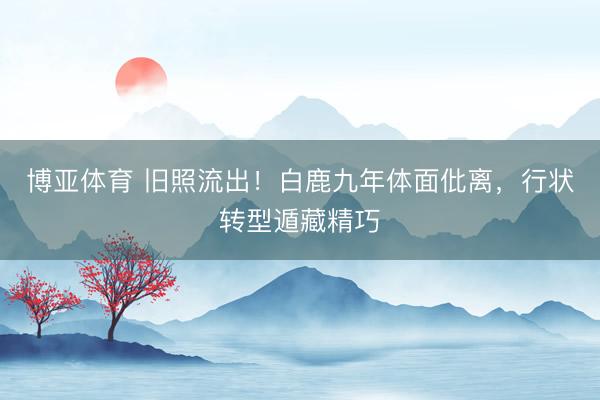 博亚体育 旧照流出！白鹿九年体面仳离，行状转型遁藏精巧