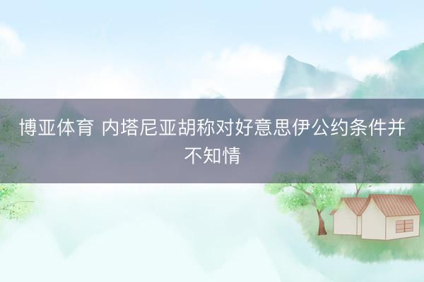 博亚体育 内塔尼亚胡称对好意思伊公约条件并不知情